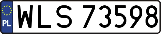 WLS73598