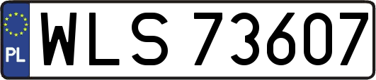WLS73607