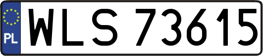 WLS73615