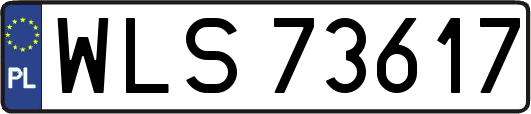WLS73617