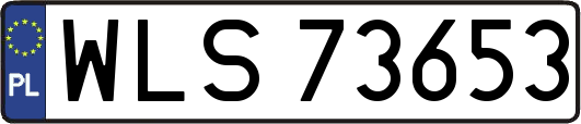 WLS73653