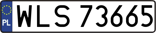 WLS73665