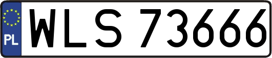 WLS73666
