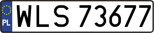 WLS73677
