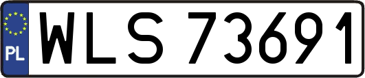 WLS73691