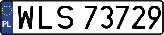 WLS73729