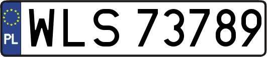 WLS73789