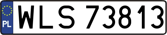 WLS73813