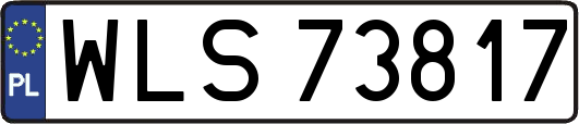 WLS73817
