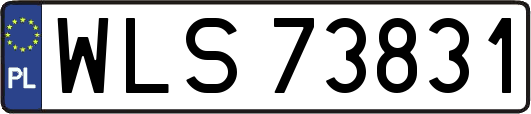 WLS73831