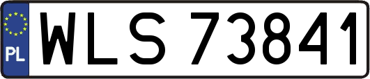 WLS73841