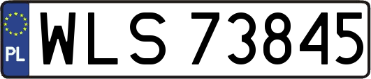 WLS73845