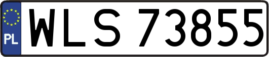 WLS73855