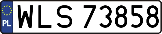 WLS73858