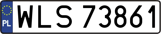 WLS73861