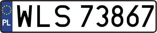 WLS73867
