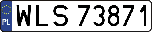 WLS73871