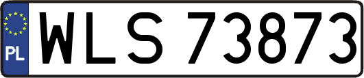 WLS73873