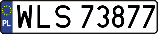 WLS73877