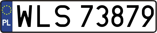 WLS73879