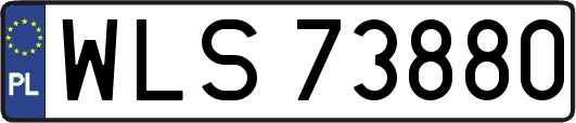 WLS73880