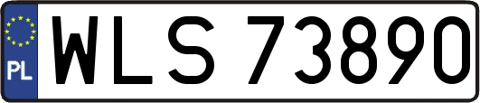 WLS73890