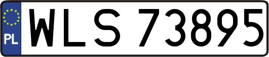 WLS73895