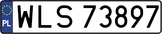 WLS73897