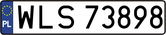 WLS73898