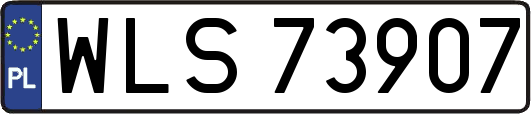 WLS73907