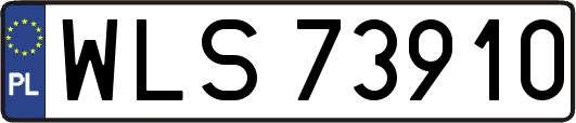 WLS73910