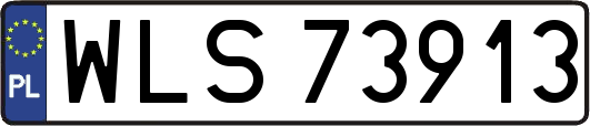 WLS73913