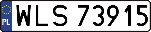WLS73915