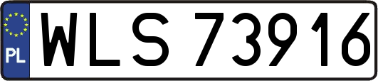 WLS73916