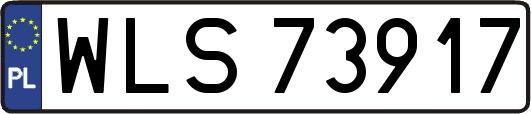 WLS73917