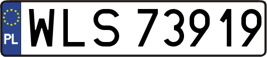 WLS73919