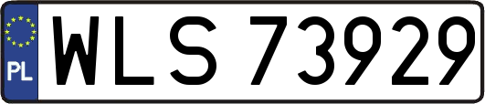 WLS73929