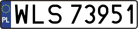 WLS73951