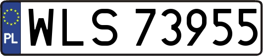 WLS73955
