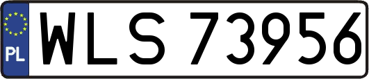 WLS73956