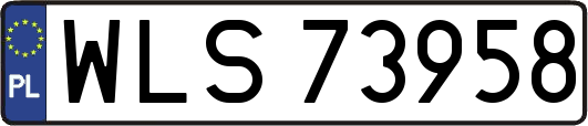 WLS73958