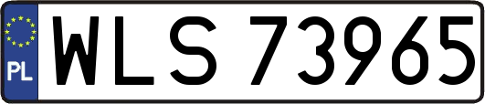 WLS73965