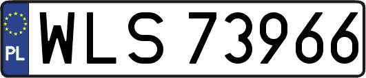 WLS73966