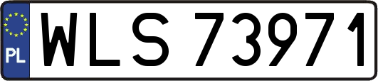 WLS73971