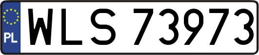 WLS73973
