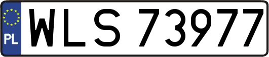WLS73977