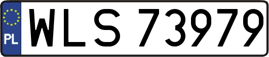 WLS73979