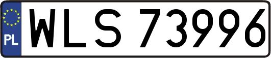 WLS73996