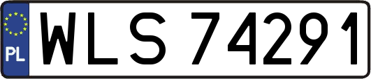 WLS74291