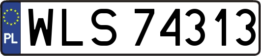 WLS74313